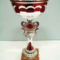 Copa trofeo en Sevilla