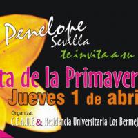 Dise&ntilde;o flyers discoteca Pen&eacute;lope Sevilla