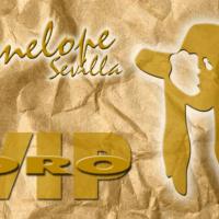 Dise&ntilde;o flyers discoteca Pen&eacute;lope Sevilla