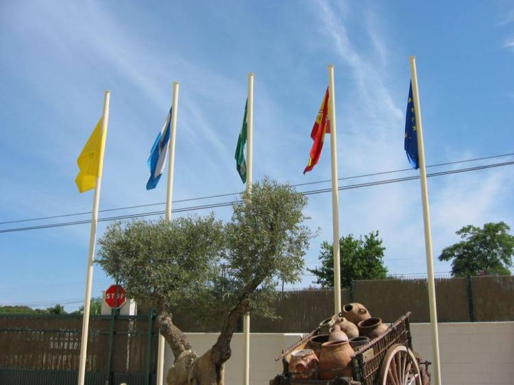 Banderas de izado en poliéster y mástiles de aluminio. Hispalcargo Sevilla