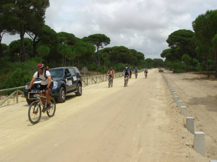 Paso por Doñana mitad del grupo
