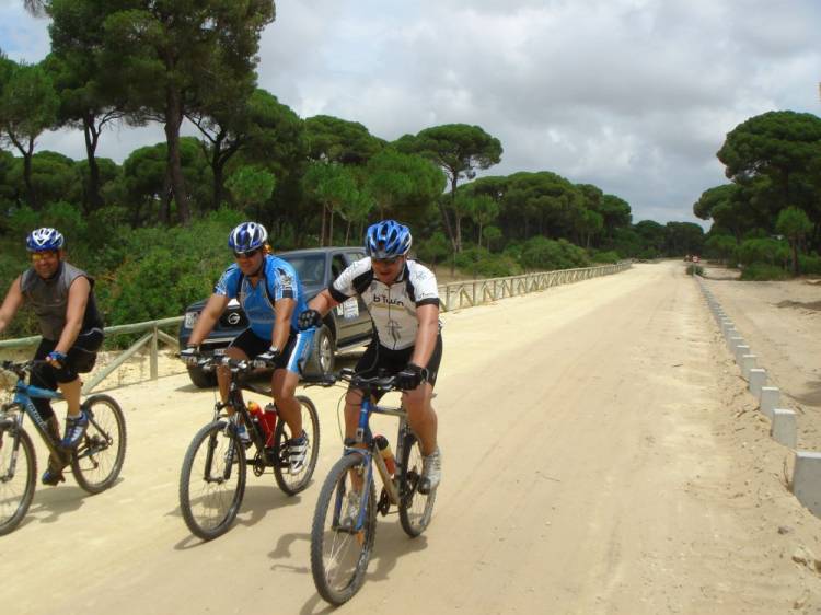 Paso por Doñana la otra mitad del grupo