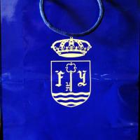 Bolsa plastificada con refuerzos y asa de cordón Cuartel General Fuerza Terrestre Sevilla