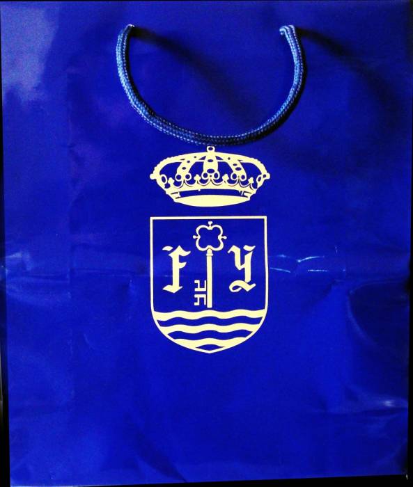 Bolsa plastificada con refuerzos y asa de cord&oacute;n Cuartel General Fuerza Terrestre Sevilla