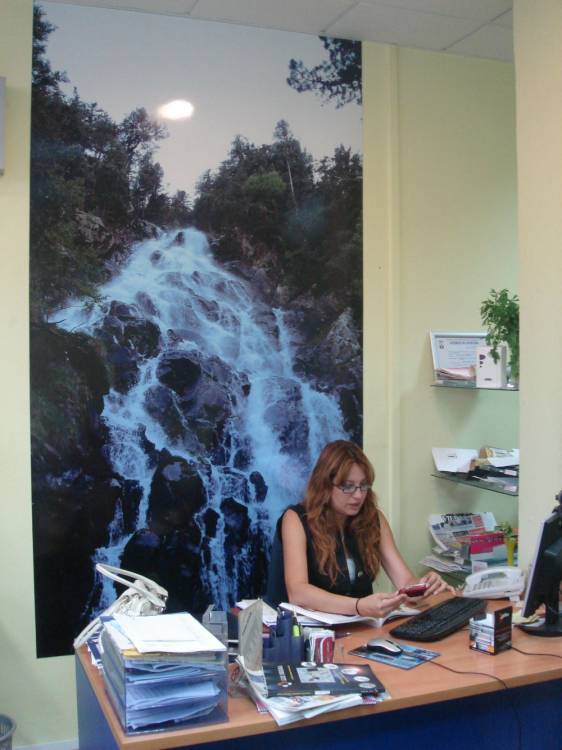 Rotulación fotomural en vinilo. Impresión Oficinas de Publicar Sevilla