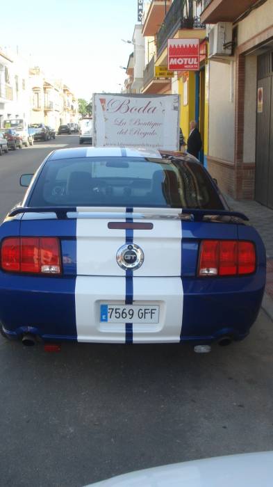 Rotulación en vinilo fundido de corte líneas integrales Ford Mustang Sevilla