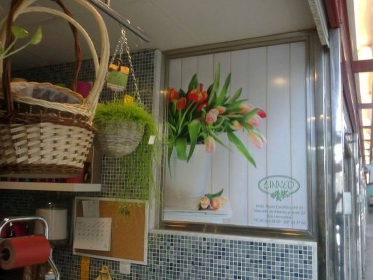 Rotulación en vinilos. Floristería Linneo, Plaza de Abastos Dos Hermanas Sevilla