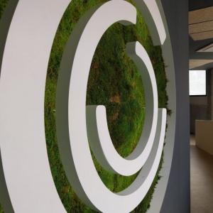 Decoraci&oacute;n mediante textos corp&oacute;reos y vinilos para In Muv Sevilla.