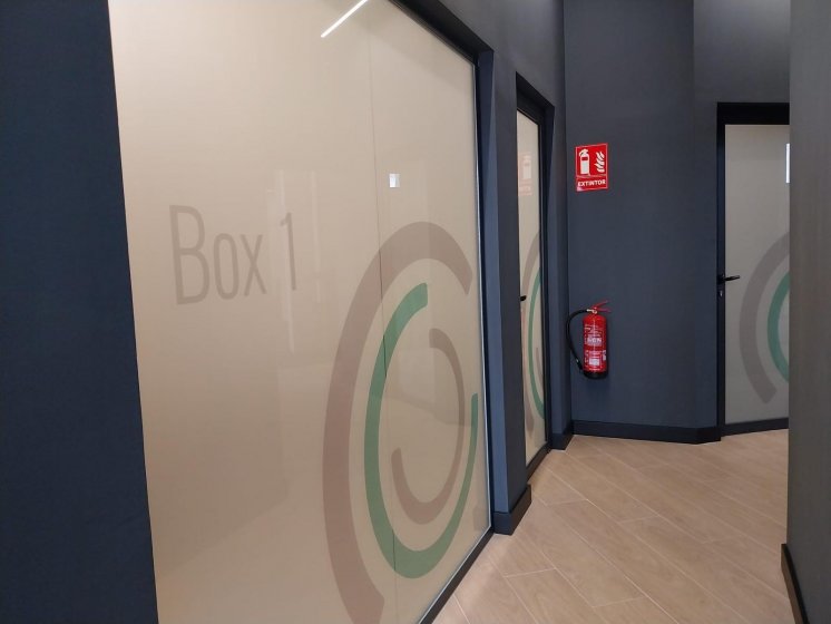 Decoraci&oacute;n de cristales mediante vinilos &aacute;cidos impresos para In Muv   Sevilla.