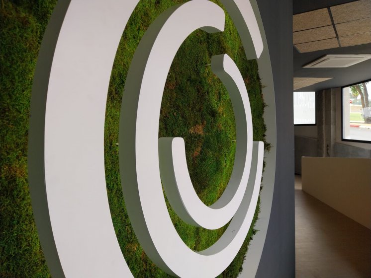 Decoraci&oacute;n mediante textos corp&oacute;reos y vinilos para In Muv Sevilla.