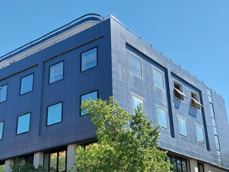 Rotulaci&oacute;n de cristales en vinilo impreso y laminado para Ceapro Sevilla.