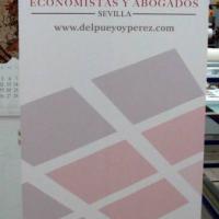 Del Pueyo y Pérez, Economista y Abogado, Sevilla. Roll up en lona impresa.