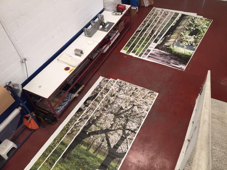 Impresión digital sobre vinilo de pared. Fotomural para Vimaple distribuciones en el Viso del Alcor, Sevilla