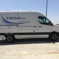 Rotulación de furgoneta en vinilo de corte. Caleia SL, Sevilla Rotulación de flota.
