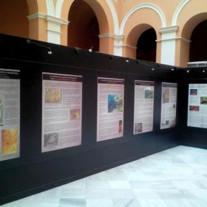 Montaje de Exposición Laredo Sevilla en el Ayuntamiento de Sevilla.