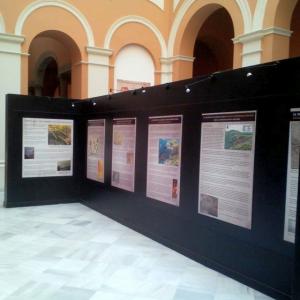 Montaje de Exposición Laredo Sevilla en el Ayuntamiento de Sevilla.
