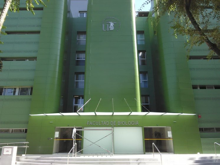 Letras recortadas en PVC lacado, para la Facultad de Biolog&iacute;a de la Universidad de Sevilla.