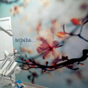 Rotulación de fotomurales con vinilos especiales de pared. Clínica Pareja Dos Hermanas Sevilla.