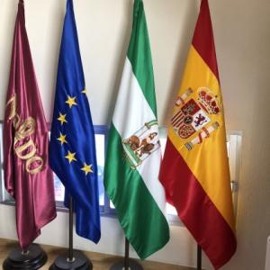 Banderas de despacho reglamentarias con peana y mástil.