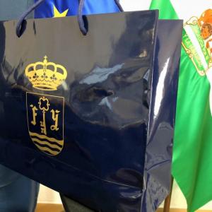 Bolsa de papel charol con tinta en oro, para el Cuartel General de la Fuerza Terrestre Sevilla. Futer