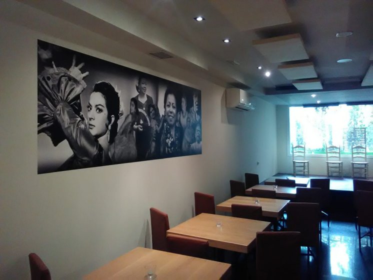 Rotulación de foto murales en vinilos especiales de pared. La cantaora en Sevilla.
