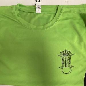 Camiseta técnica serigrafiada a 1 tinta. Batallón de Transmisiones 22 de Sevilla