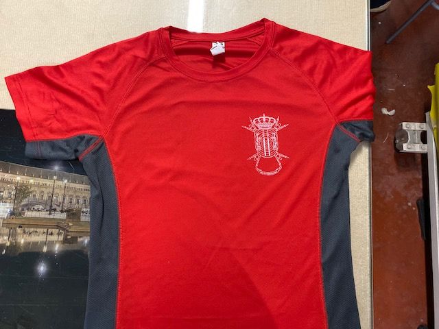 Camiseta técnica bicolor serigrafiada a 1 tinta. Batallón de Transmisiones 22 de Sevilla