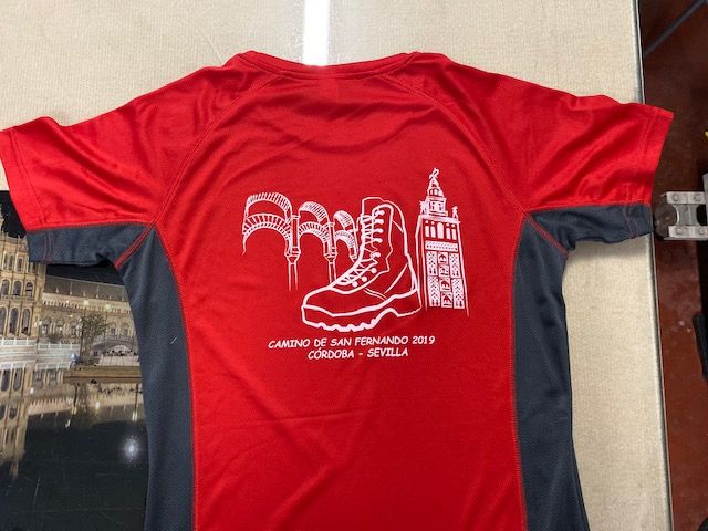 Camiseta técnica bicolor serigrafiada a 1 tinta. Batallón de Transmisiones 22 de Sevilla