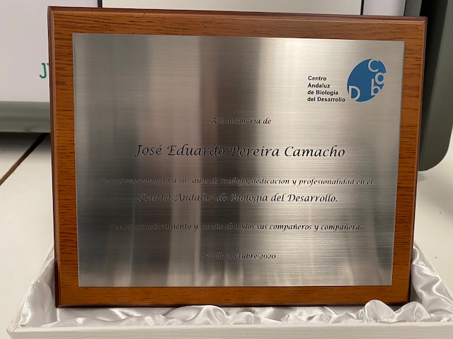 Placa conmemorativa con estuche, personalizada grabaci&oacute;n fresada en bajo relieve para el Cabd en Sevilla.