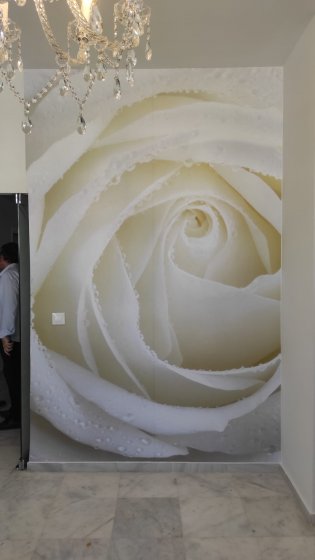 Rotulación de cristal y pared en vinilos especiales. Tu Silueta en Sevillla