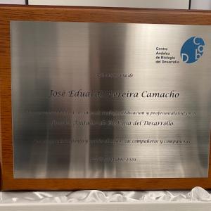 Placa conmemorativa con estuche, personalizada grabaci&oacute;n fresada en bajo relieve para el Cabd en Sevilla.